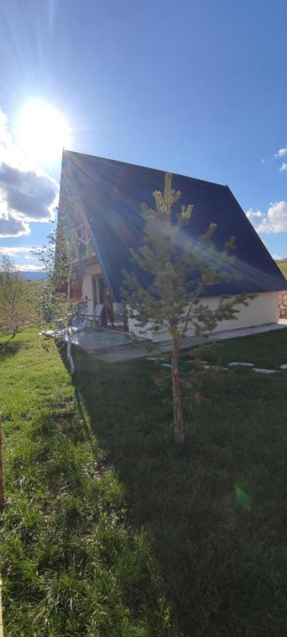 Pinewood Home Zabljak מראה חיצוני תמונה
